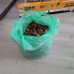 Fotka k inzerátu ořechy / 19449649