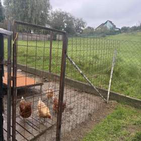Foto inzerátu Kurník pro slepice