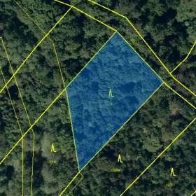 Kyjovice Les / 19609148