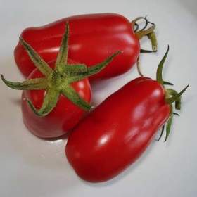 Rajče San Marzano Nano -  semena / 19612445