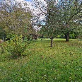 Foto inzerátu Prodám zahradu v Prostřední Suché