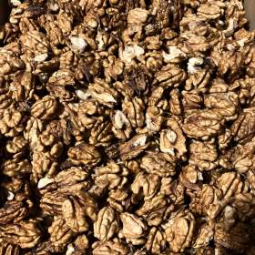 Letošní loupané vlašské ořechy 300kc/kg / 19614644