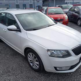 ŠKODA Octavia 1,6TDI Ambition 1 maj ČR DPH / 19615539