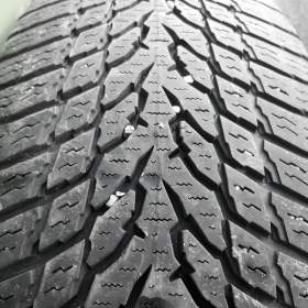2ks zimních pneu 195/55 R20 Nokian / 19618342