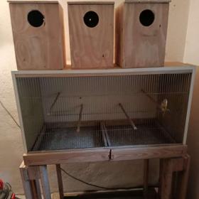 Fotka k inzerátu Prodám. / 19502724