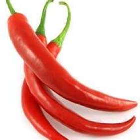 Chilli Cayenne pepper -  semena / 19618600