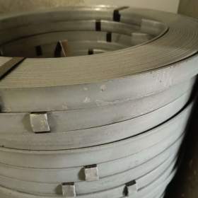 Fotka k inzerátu Zemnící pás FeZn 30x4 / 18835134