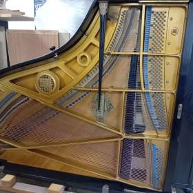 Foto inzerátu Petrof model lll. 