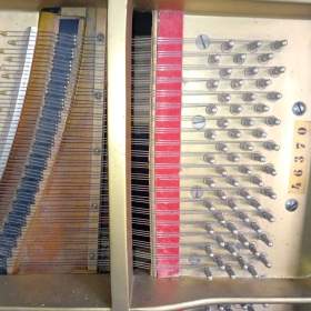 Foto inzerátu Petrof lV model, (170cm)