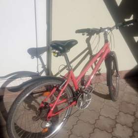 Dívčí kolo / 19620086