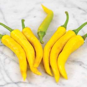 Chilli Golden Cayenne Pepper -  semena / 19622618
