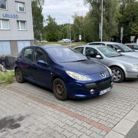 Peugeot 307 1,6 benzin plyn / 19622736