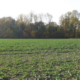 Foto inzerátu Orná půda O.- Bartovice, cca 25.000m2, rovina...  Cena 59 Kč/m2, k jednání.