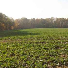 Fotka k inzerátu Orná půda O.-  Bartovice, cca 25.000m2, rovina... Cena 59 Kč/m2, k jednání.  / 17645377