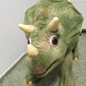 Triceratops / 19625576