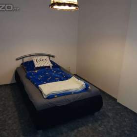 Foto inzerátu Pronájem bytu 3+1 v Mariánských Lázních