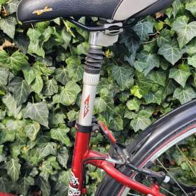 Foto inzerátu Dámské jízdní kolo