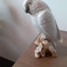 Foto inzerátu Soška Kakadu