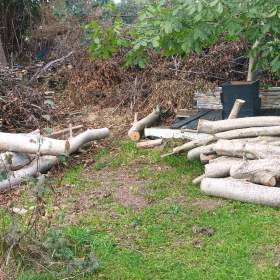 Foto inzerátu Prodej dřeva- ořech 