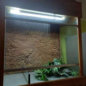 Foto inzerátu Terárium