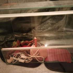 Foto inzerátu TERARIUM - velikosti 74x56x42,5 cm
