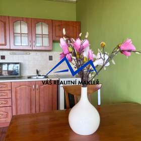 Prodej, byt 1+kk, Bohumín -  Nový Bohumín, ul. Svat. Čecha / 19630099