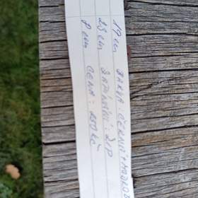 Foto inzerátu Kabelka