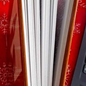 Foto inzerátu MOJE BRITÁNIE : PŘÍBĚHY, FEJETONY A POZNÁMKY Z LET 1990-1992