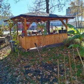 Foto inzerátu Prodám pergolu