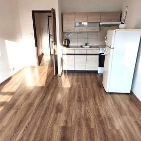 1+1 O.-  Fifejdy, nezařízený, doplatky na bydlení nevadí... Volný ihned. / 19634664