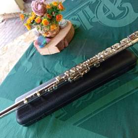 Fotka k inzerátu Příčná flétna  / 17424219