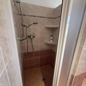 Foto inzerátu Dvougenerační rodinný dům 300m2 + zahrada 1399m2 ul.Křížkovského