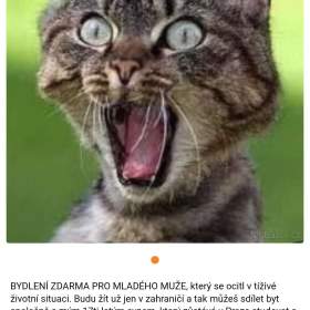 Foto inzerátu Bydlení ZDARMA v Praze pro mladého muže v nouzi