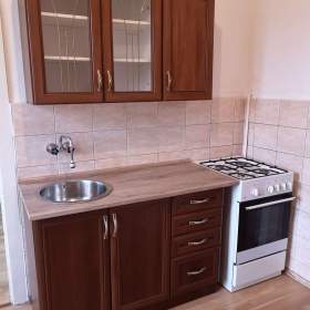 Pronájem bytu 2+1, 47 m2, 1. patro, Ostrava – Mariánské Hory / 19642138