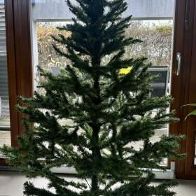 Vánoční stromek / 19643032