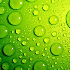 Fotka k inzerátu OSTRAVA 🎀  POTŘEBUJEME VÝPOMOC!  KLIDNĚ I OBČAS ❣ / 19362556