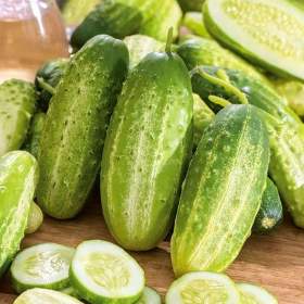 Fotka k inzerátu Okurka nakládačka Maksimus F1 -  semena / 19332605