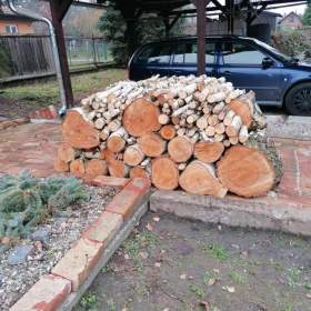 Prodej dřeva / 19648125