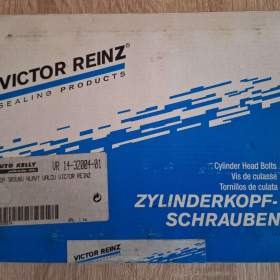 Fotka k inzerátu sada šrouby hlava BMW E36,46,34,39 ... Viktor Reinz / 18904207