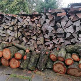 Prodej dřeva / 19648739