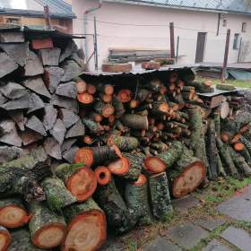 Foto inzerátu Prodej dřeva