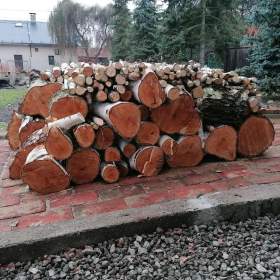 Foto inzerátu Prodej dřeva