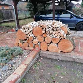 Foto inzerátu Prodej dřeva