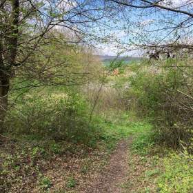 Foto inzerátu Pronájem (možný i prodej na splátky) 6.917 m2 Jestřabice