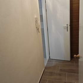 Foto inzerátu Byt 1+1, 40 m2, po rekonstrukci, Plzeň - Bolevec, Komenského