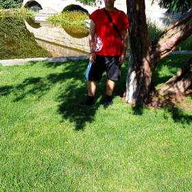 Fotka k inzerátu Najdu?  / 19390733