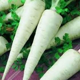 Fotka k inzerátu Petržel kořenová Hanácká -  semena / 19650096