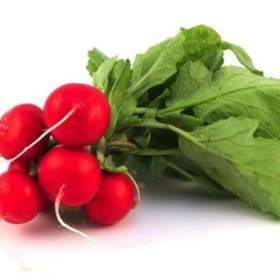 Foto inzerátu Ředkvička Saxa 2 - semena