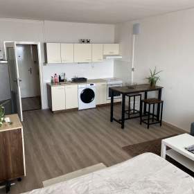 Pronájem bytu / 19655069