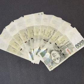 Denní výdělky 5- 10 tisíc, diskrétně. / 19655171